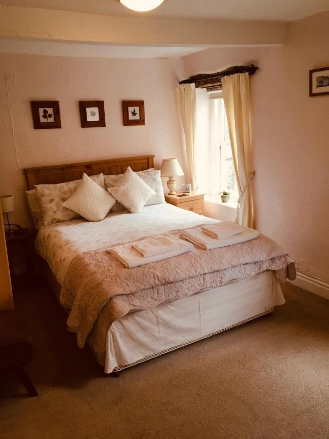 דולגלאו Aber Cottage B&B מראה חיצוני תמונה